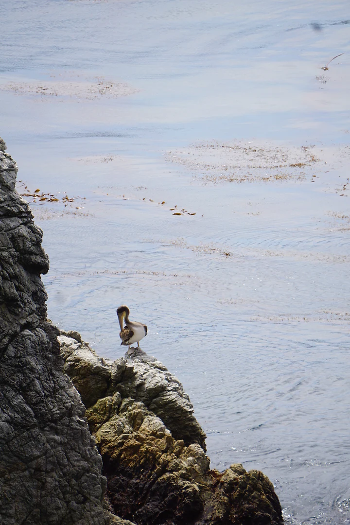 A lone figure sitting on a rock outcrop above pale, sunlit water.