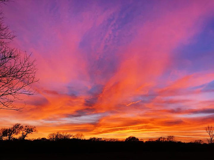 Magenta and orange cloud streaking across the sky above a bare treeline.
