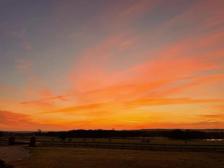 A vivid orange sky stretched above a flat, darkening field.