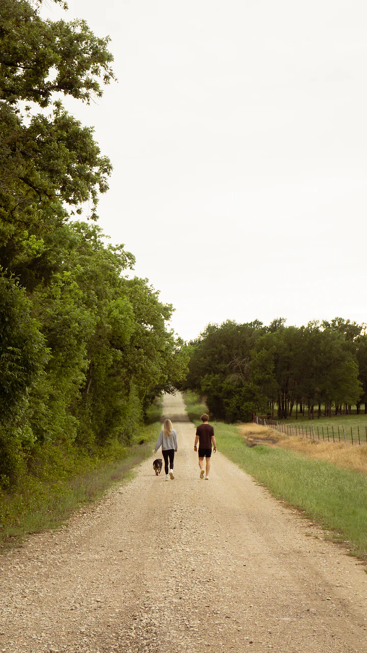 Two people and a dog walking away down a gravel path lined with trees.