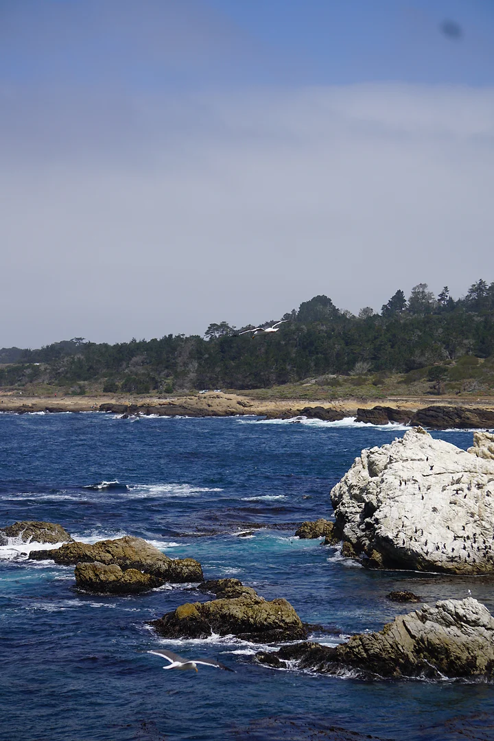 Surf breaking against a rugged headland of pale rock and deep blue water.