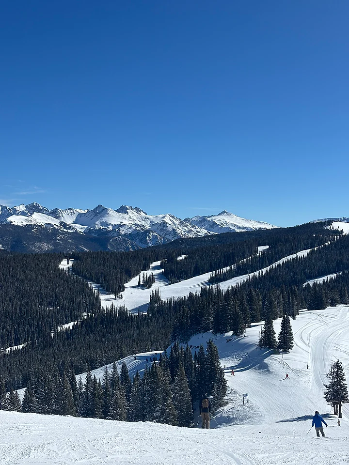 A ski run cutting between pines with jagged snow peaks beyond.